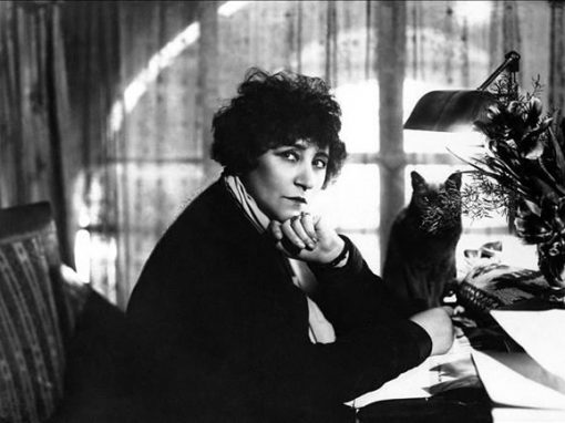 Travailler son style avec Colette